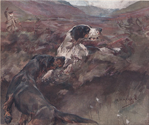 Grouse over dogs